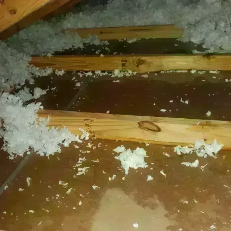 Attic Water Damage in Wharton County, TX