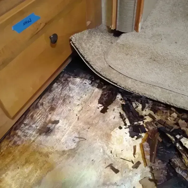 Wood Floor Water Damage in Wharton County, TX